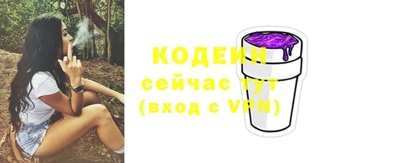соль ск Краснослободск