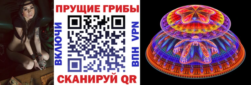 Галлюциногенные грибы GOLDEN TEACHER  ссылка на мегу сайт  Пионерский 